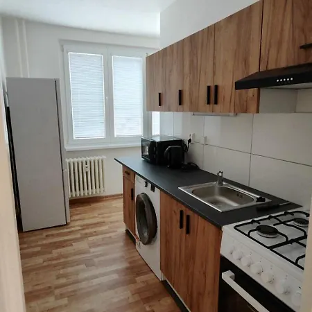 Appartamento Pro 4 Osoby, Bukovany B1 Sokolov